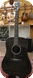 Rainsong Hybrid H DR1100N2