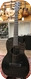 Rainsong Concert Hybrid CH PA1000NS