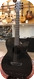 Rainsong Concert Hybrid CH WS1000NS