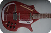 Jerry Jones Master Sitar 2011-Red Gator