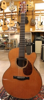 Santa Cruz 2002 Fs Cedar Rosewood 2002