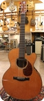 Santa Cruz 2002 FS Cedar Rosewood 2002