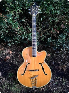 Hofner Committee , Museum Grade , The Worlds Finest 1955 Natural