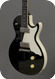 Fredrik Rosen Guitars The Penguin