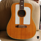 Epiphone Troubadour FT 98 1964