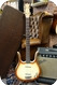 Danelectro Danelectro Longhorn Copper Burst With Case