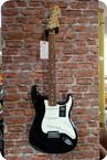 Fender Fender Player Stratocaster PF