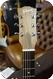 Gibson Gibson G-45 Standard Walnut 2020 Antique Natural