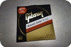 Gibson Gibson SAG-CPB12 Acoustic Guitar String 12-53 Coated Ph Bronze