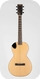 Pagelli Guitars-Suround Sound Parlor - Prototype-2020-Cedar Blanket