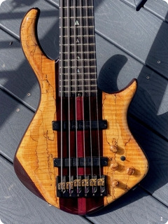 Warrior Dran Michael 6 String 2012 Spalted Maple