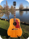 Gibson Hummingbird 1967-Natural