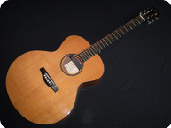 Alister Atkin SJ Std 2008 Natural