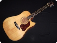 Gallagher Guitars Doc Watson 2005 Natural