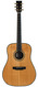 BSG D37F Amazon Rosewood European Spruce 2011