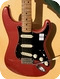 Fender Stratocaster - Scalloped 1976