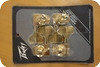 Peavey Peavey T40 Machine Heads / Tuning Pegs Set For Bass Gold