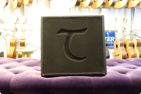 Tanglewood Tanglewood T6 Acoustic Amp 60w 220 Volt Version
