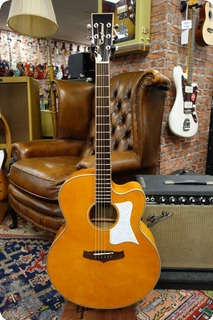 Tanglewood Tanglewood Tsj V3 Evolution Jumbo With Fishman Electronics