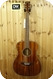 Tanglewood Tanglewood TW40 OD Sundance Delta Historic Naturel