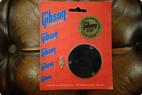 Gibson Gibson Prsp 010 Switchplate (black)