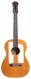 Epiphone Folkster FT95 1966-Natural