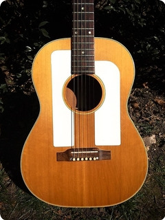 Gibson F25 Acoustic 1964 Natural