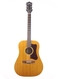 Guild D-40 1963