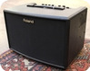 Roland AC 60