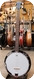 Washburn B8 5 string Banjo