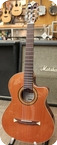 Alhambra Crossover CS 100CE Maestro Series