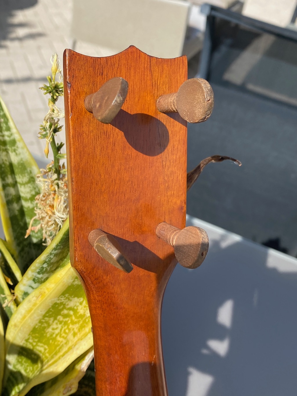 stringed instruments from hawaii stringed instruments from hawaii