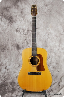 Washburn D 70 Natural