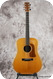 Washburn D66SW-Natural
