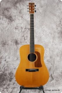 Washburn D66sw Natural