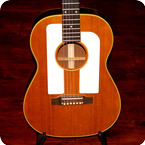 Gibson F 25 1964