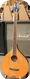 Fender FBZ Irish Bouzouki