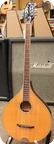 Fender FBZ Irish Bouzouki