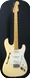 Fender Stratocaster Thinline Eric Johnson Signature 2018