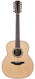 Mcilroy AJ30 12 String Sitka Indian Rosewood