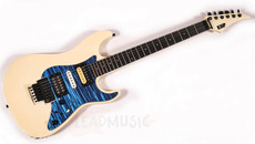 Esp Guitars Technical House Strat 2001