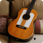 Gibson F 25 1965