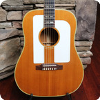 Gibson FJN Folk Singer Jumbo 1965