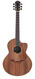 Lowden S50C TFOA 20th Anniversary African Blackwood Sinker Redwood