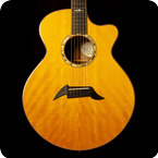 Breedlove Guitars Masterclass A25 Custom 2008