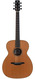 McNally OM Cedar Walnut 2019