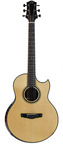 Kevin Ryan Paradiso Grand Concert Figured Indian Rosewood Engelmann Spruce 2020