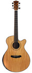 Lauri Williams Laurie Williams Signature Tui Ancient Kauri 2012