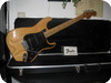 Fender Stratocaster 1976 Natural