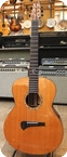 Tanglewood TSR 1 MasterDesign By Michael Sandn